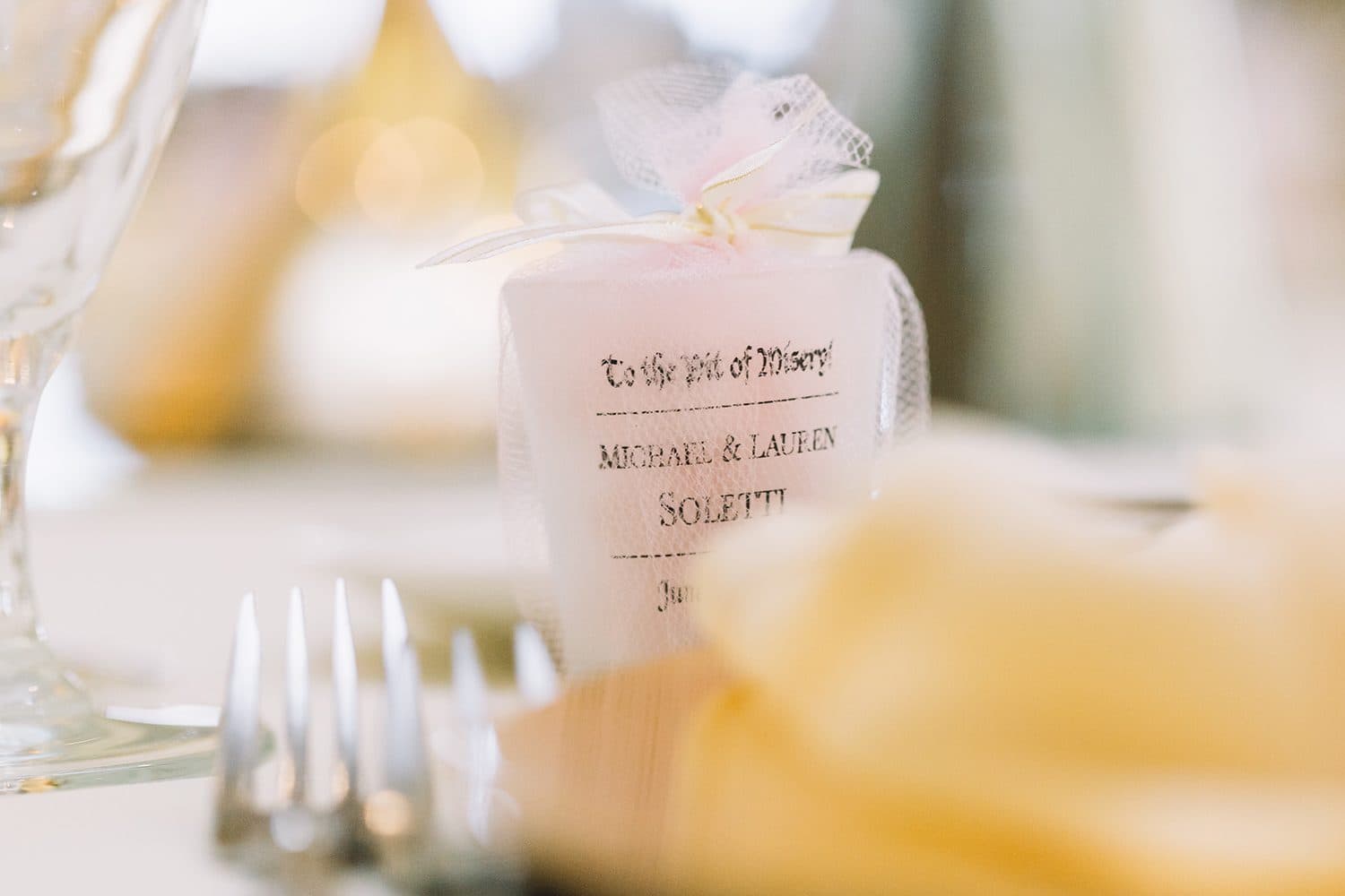 Lauren & Michael — photo 5